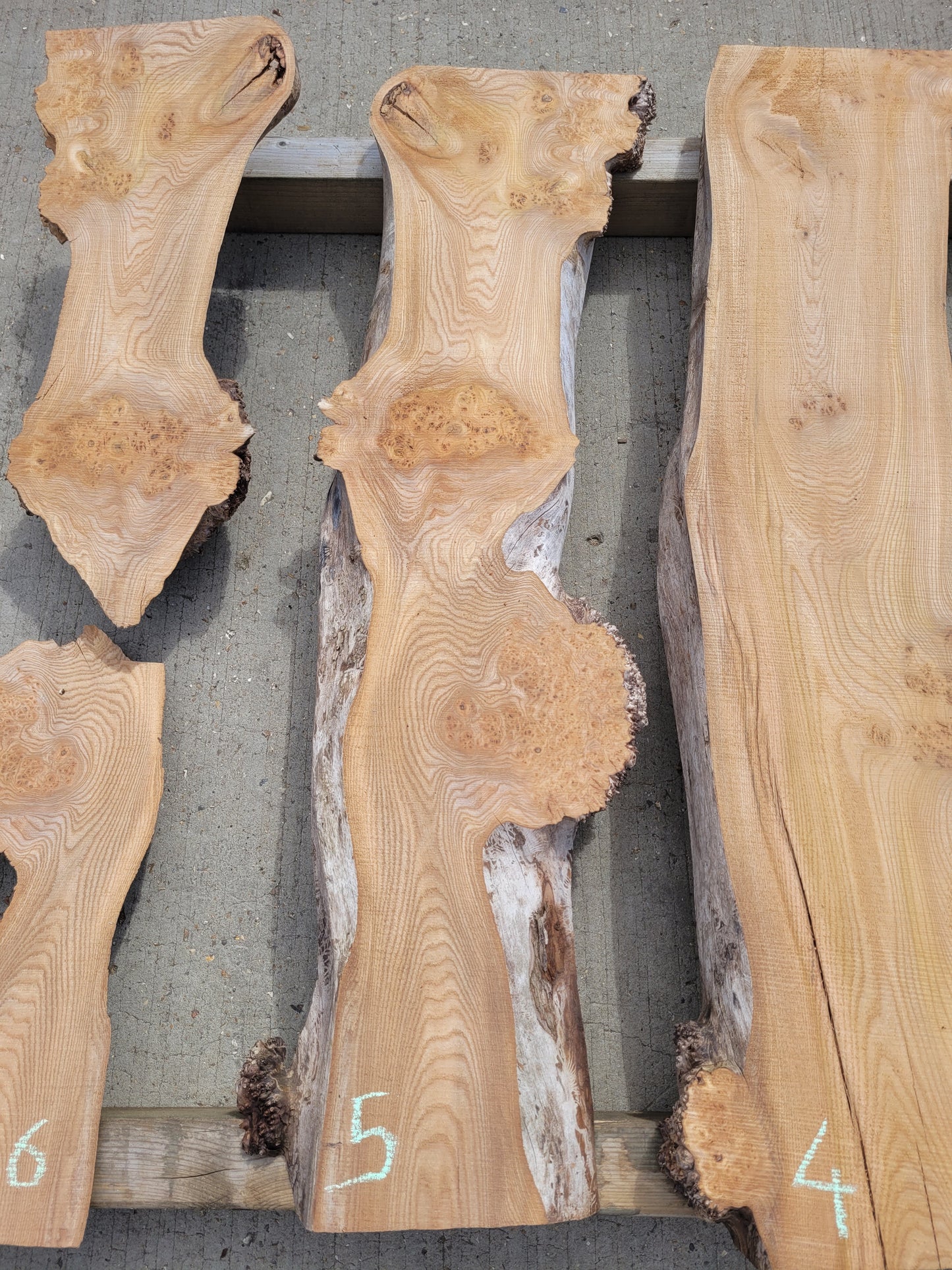 Burr Elm Live Edge Boards 1.25m (101b)