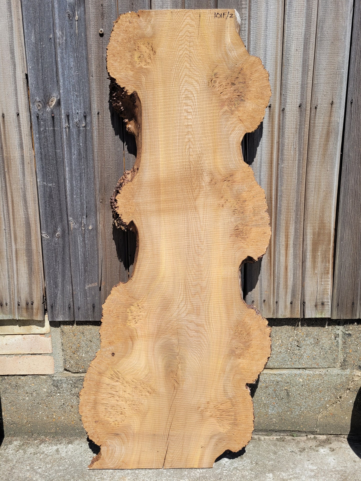 Burr Elm Live Edge Boards (101f/1&2)