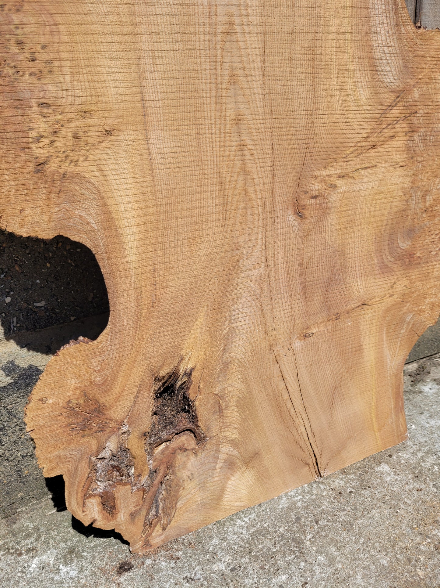 Burr Elm Live Edge Boards (101e/1&2)