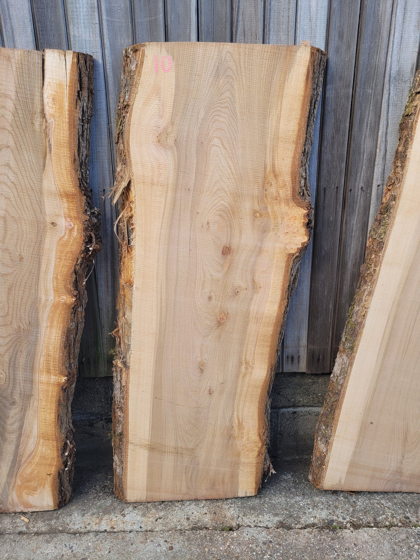 Elm Log 1.5m 22 ft3 Stunning (100)
