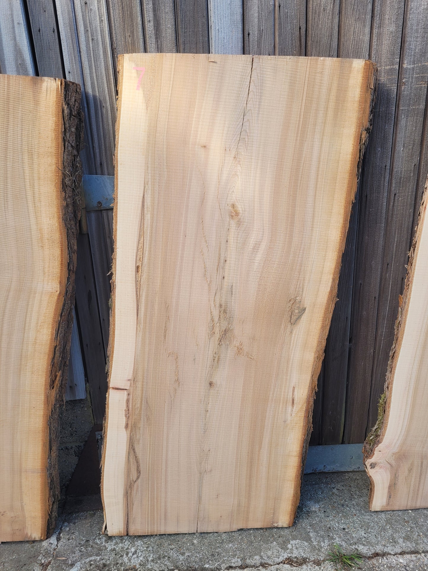 Elm Log 1.5m 22 ft3 Stunning (100)