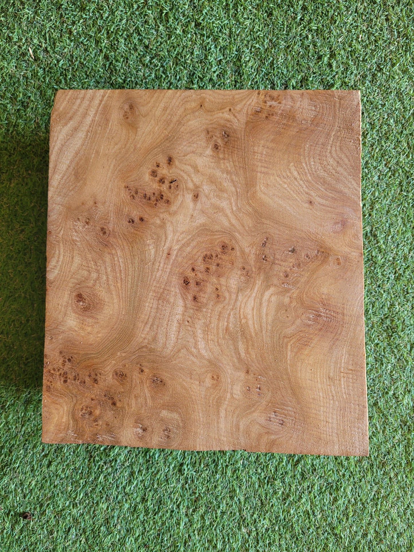Burr Elm Woodturning Blank 24x27x9cm (B27)