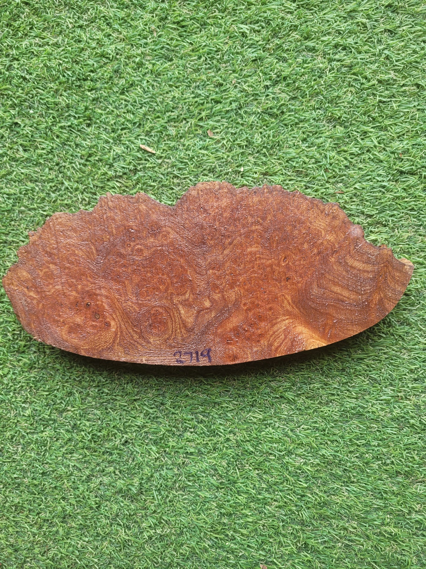 Burr Elm Woodturning Blank 25x11x2.4cm (2719)