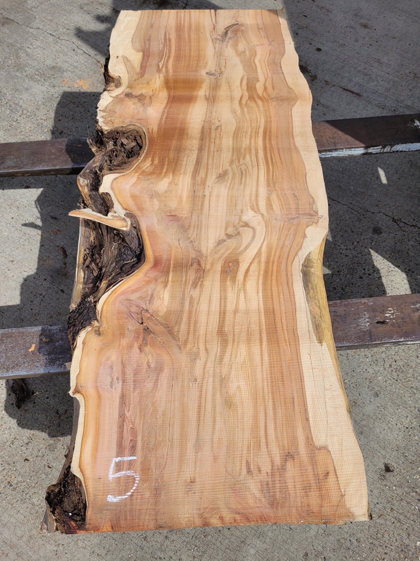 Yew Log 1.24m 8.6 ft3 (Y3)