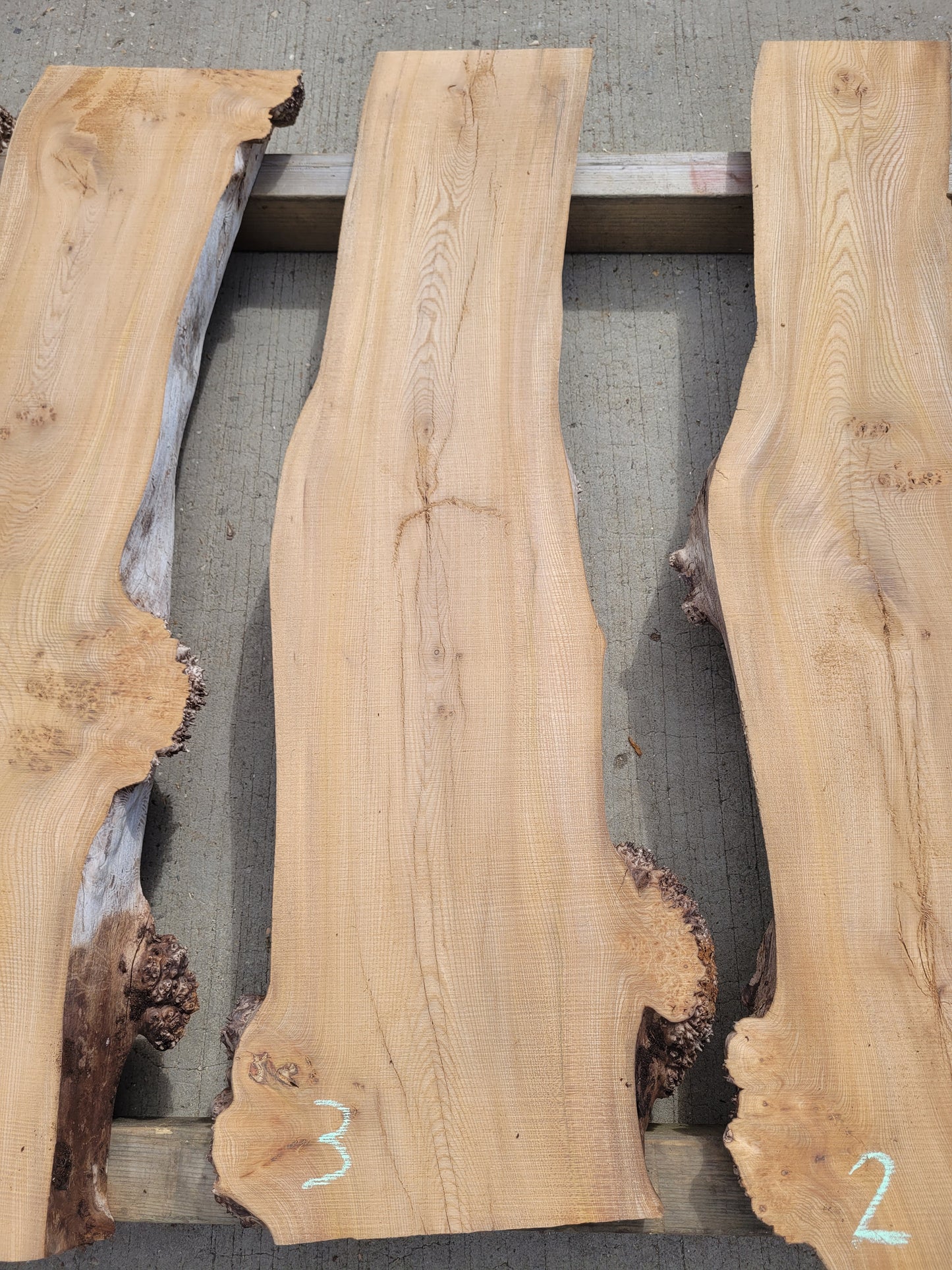 Burr Elm Live Edge Boards 1.25m (101b)