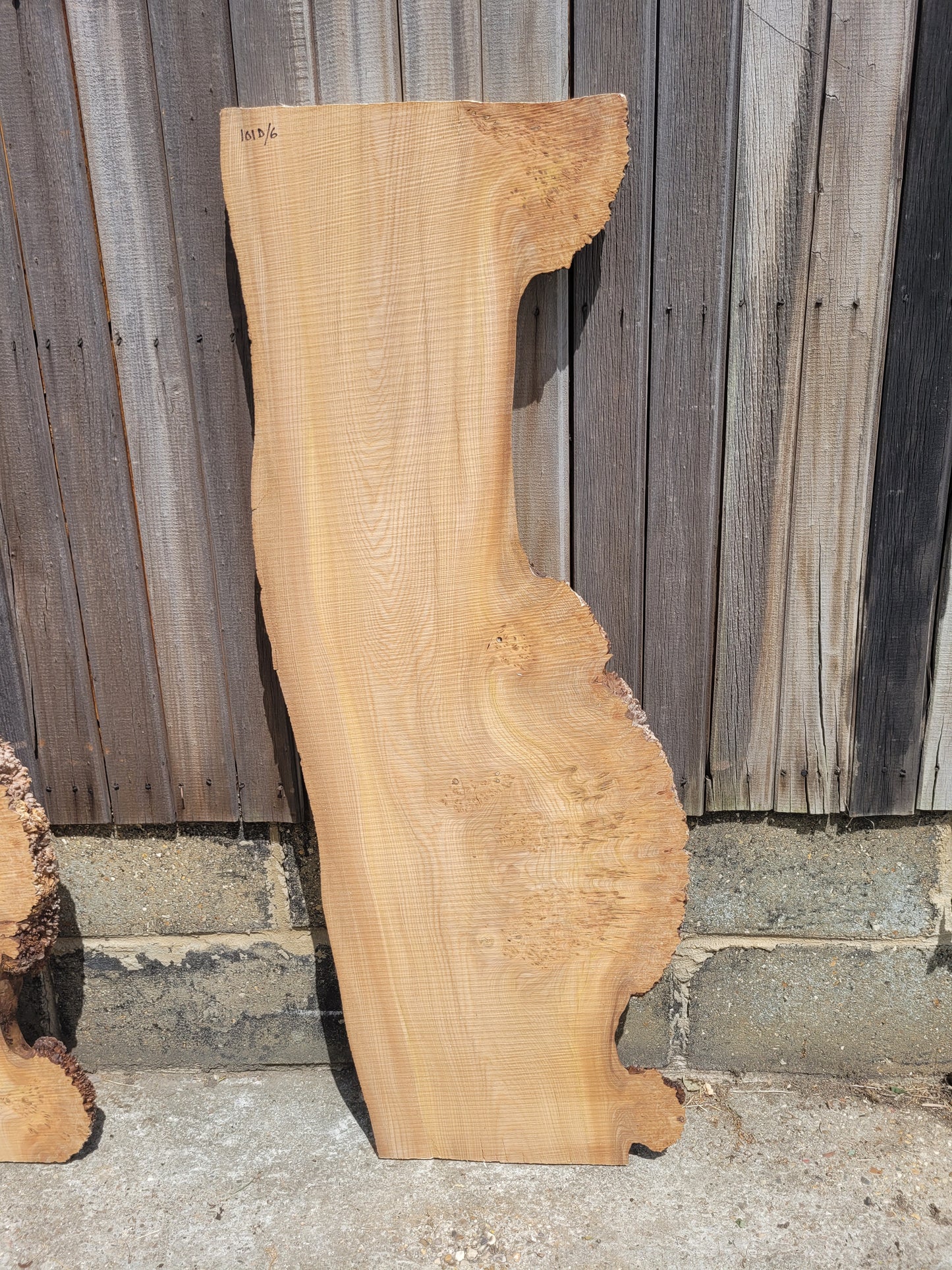 Burr Elm Live Edge Boards (101d/2-7)