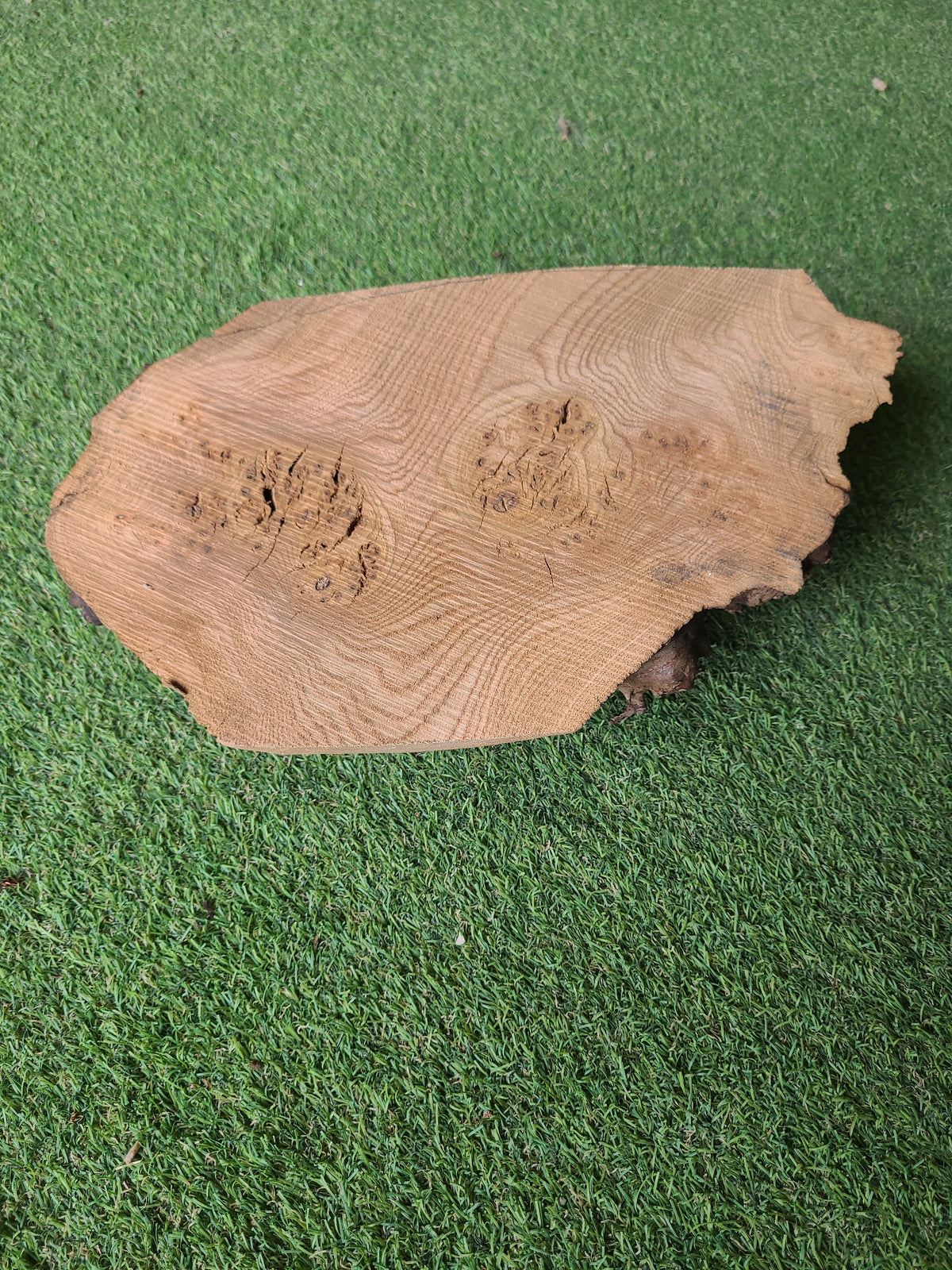 Burr Elm x2 Woodturning Blanks Live Edge (B14&B19)