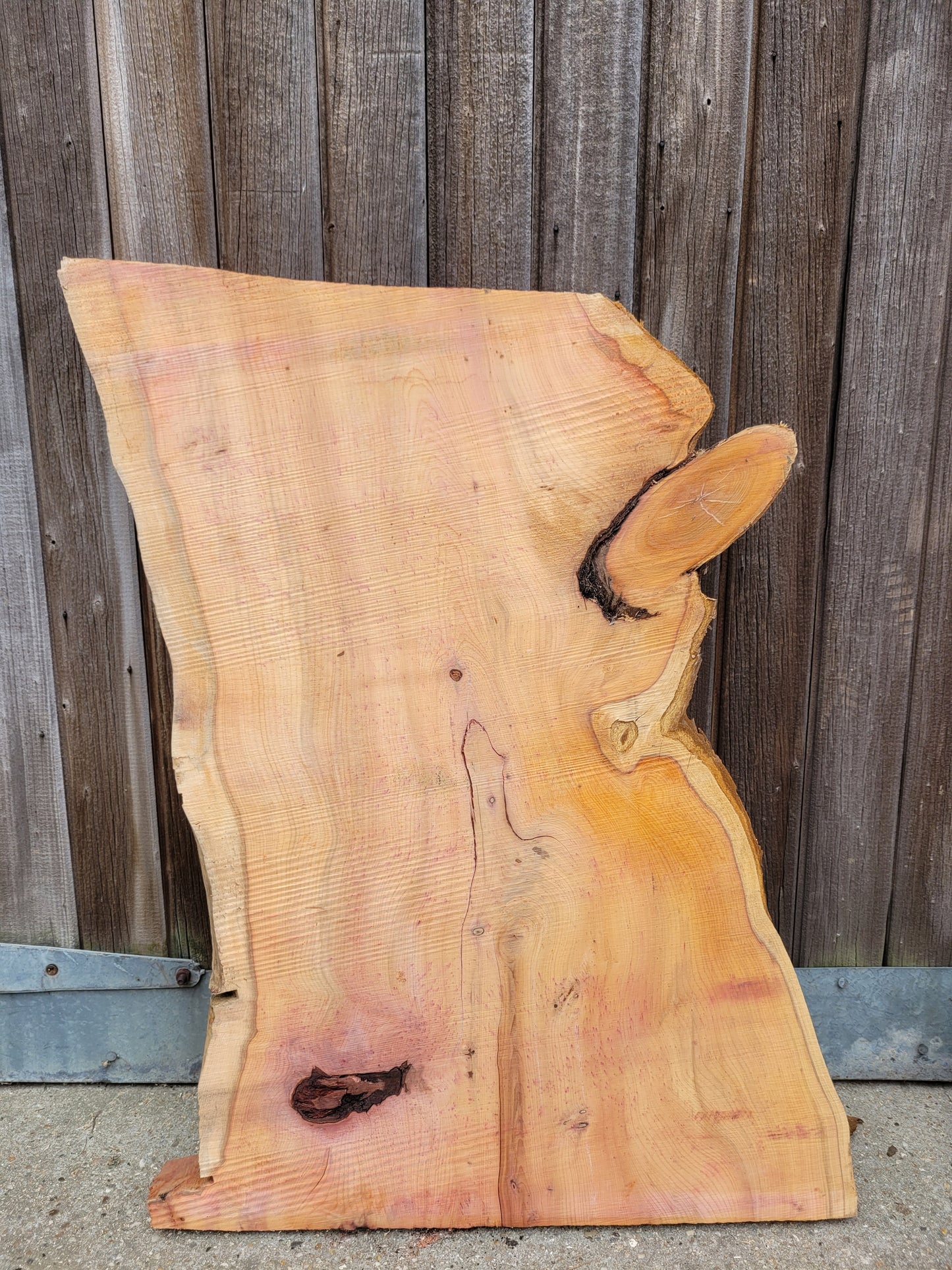 Yew Live Edge Slabs