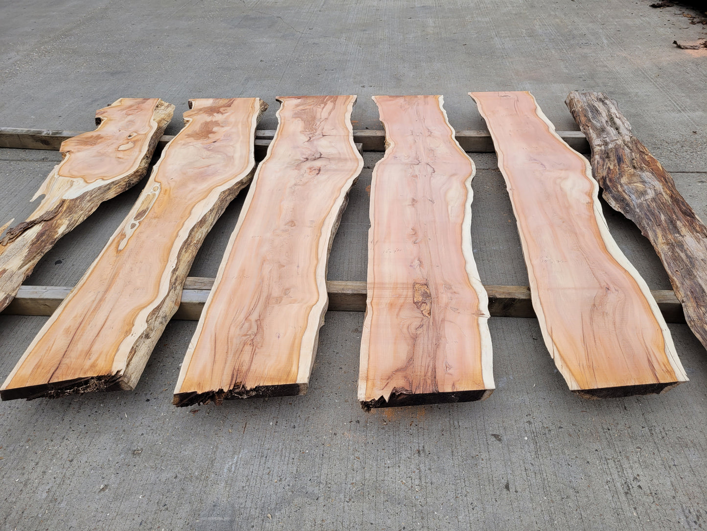 Yew Log 2.1m Long 8ft3 (Y1)