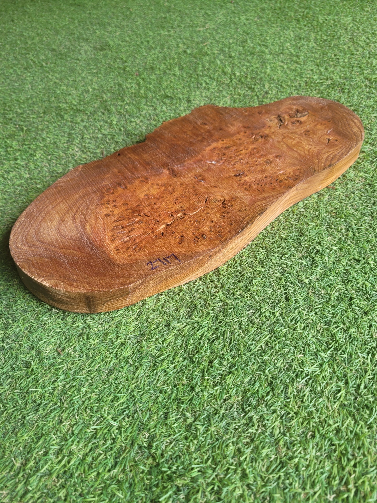 Burr Elm Woodturning Blank 36x17.5x2.3cm (2717)