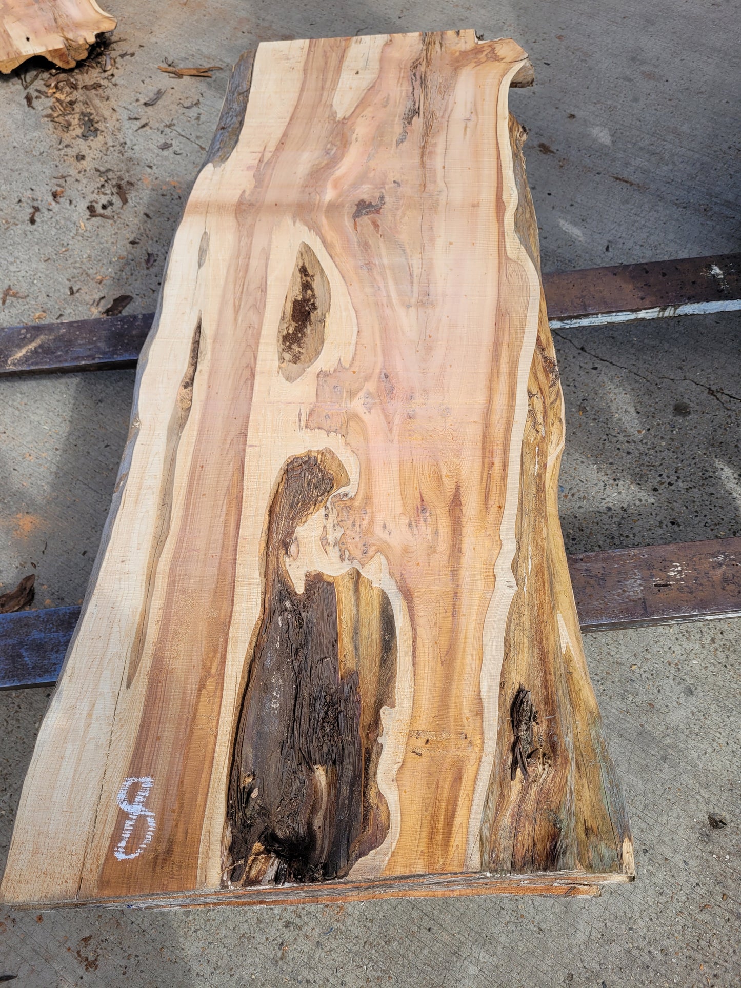 Yew Log 1.24m 8.6 ft3 (Y3)
