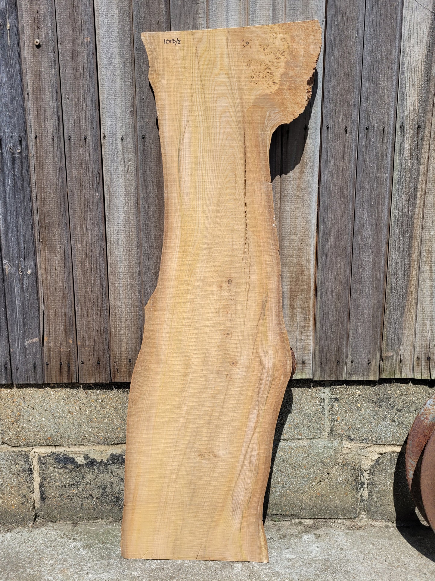 Burr Elm Live Edge Boards (101d/2&3)