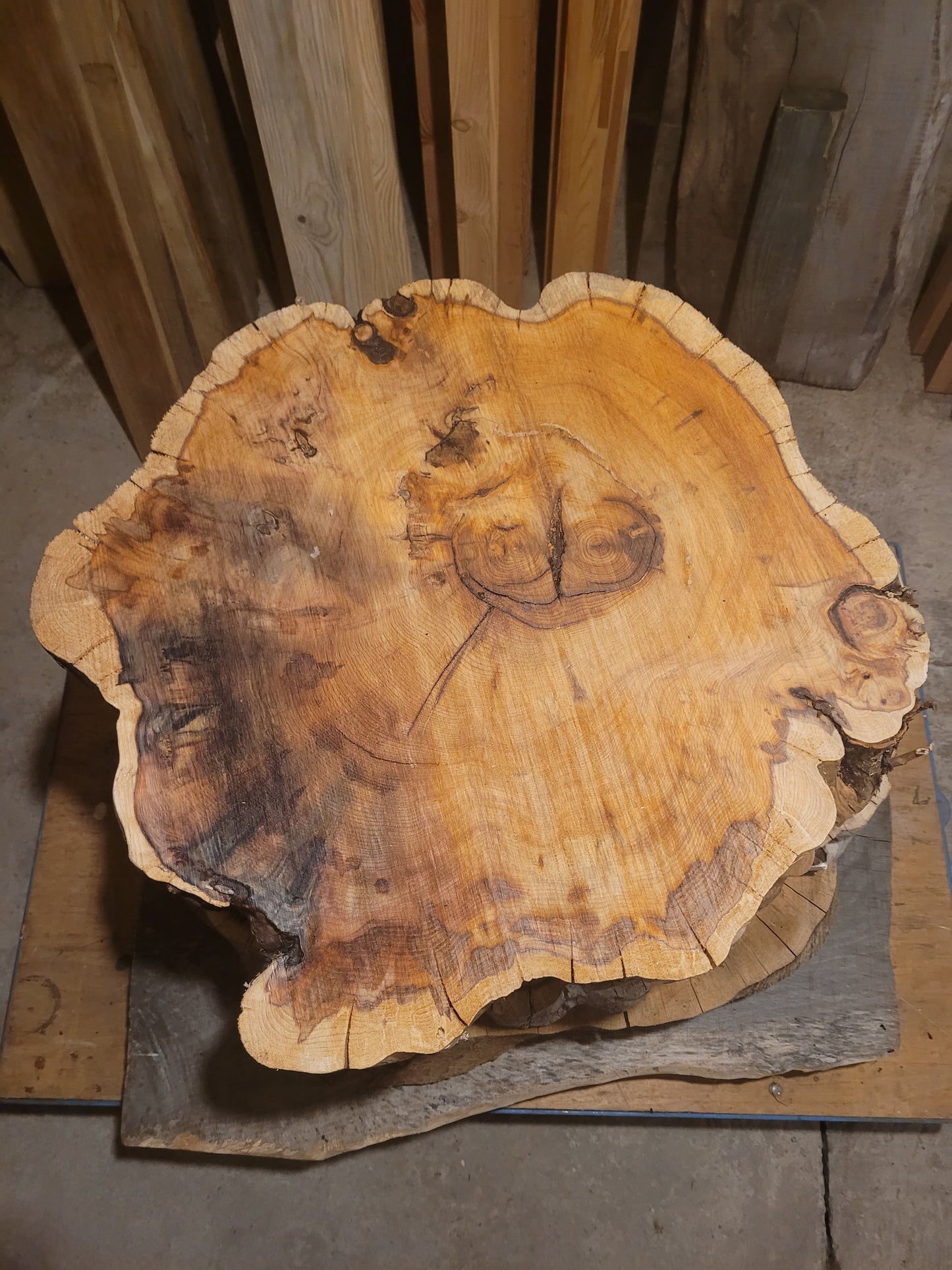 Yew Wood Cookies Slices 100mm Thick Table Top