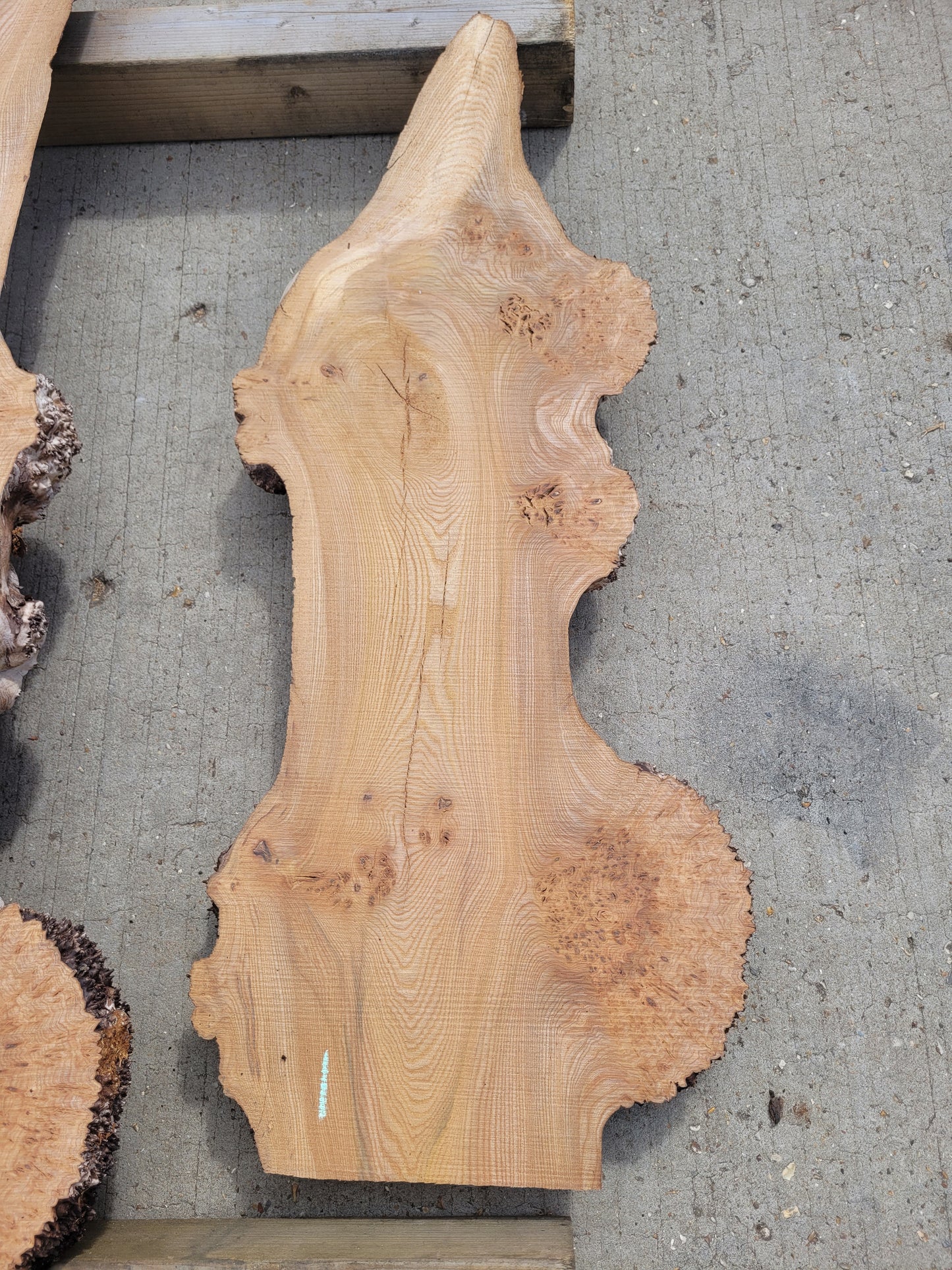 Burr Elm Live Edge Boards 1.25m (101b)