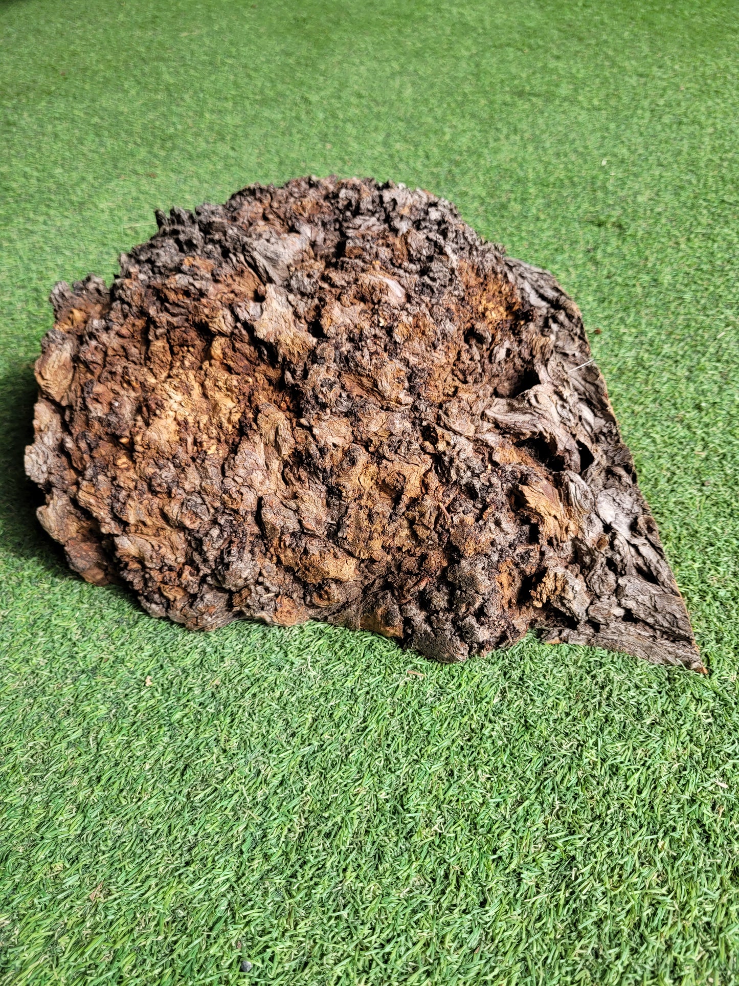 Carpathian Elm Burr Woodturning Blank (2714)