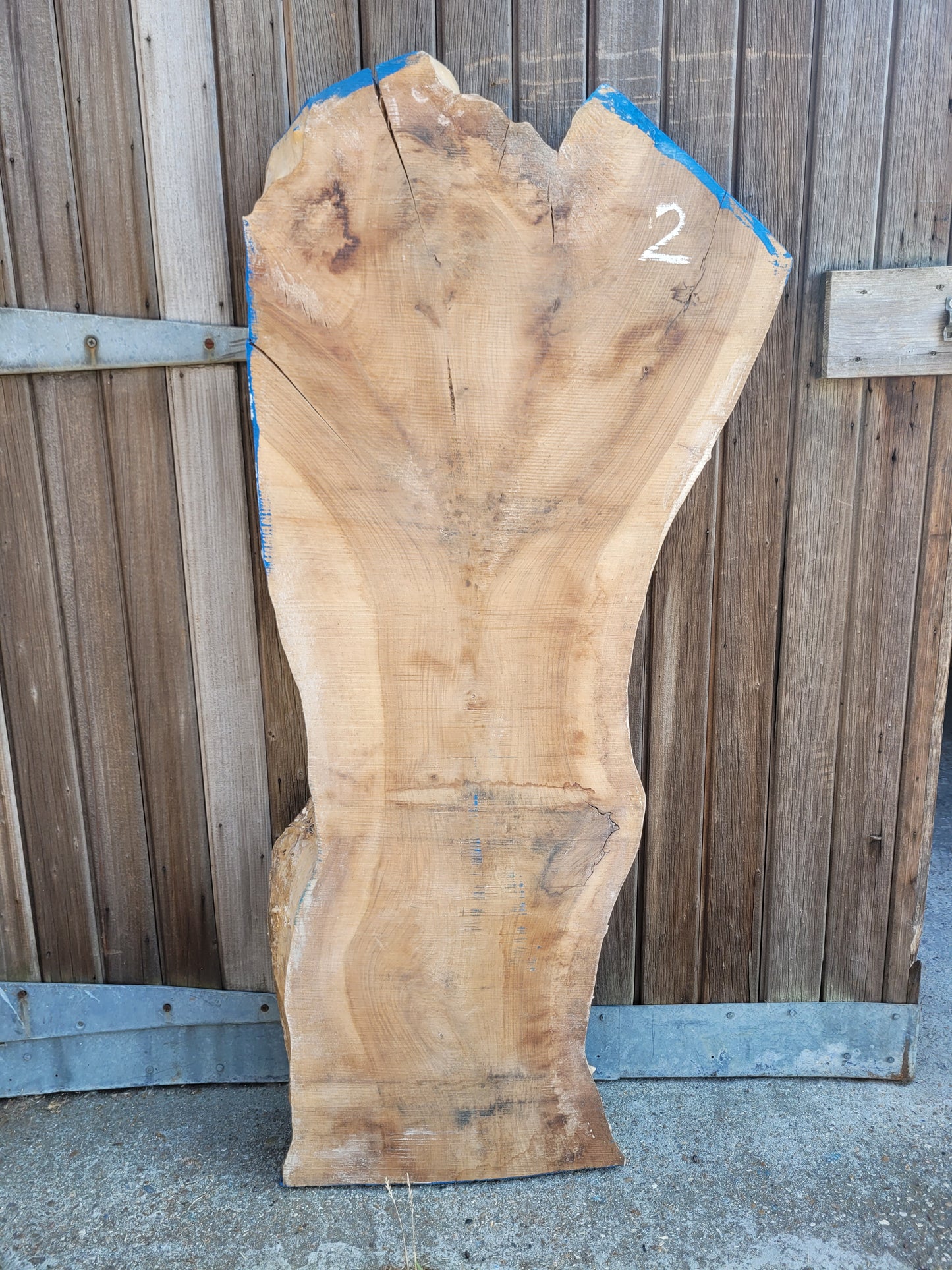 English Walnut Slab Live Edge Board Table Top 1400 x 400/600 x 75mm (2)