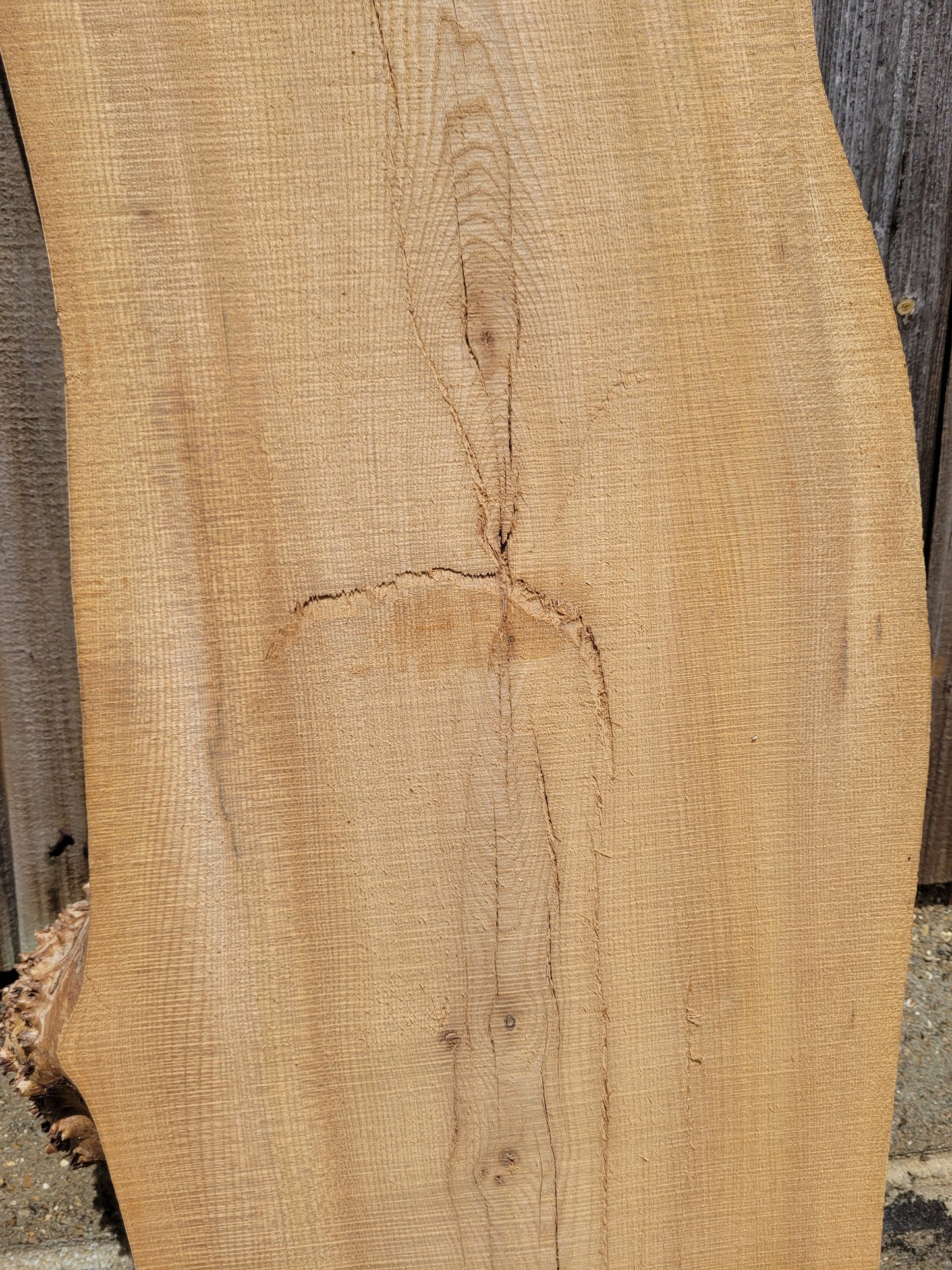 Burr Elm Live Edge Boards (101b/1-4)
