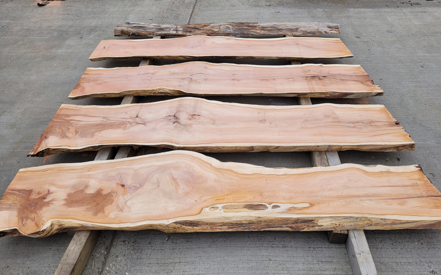 Yew Log 2.1m Long 8ft3 (Y1)