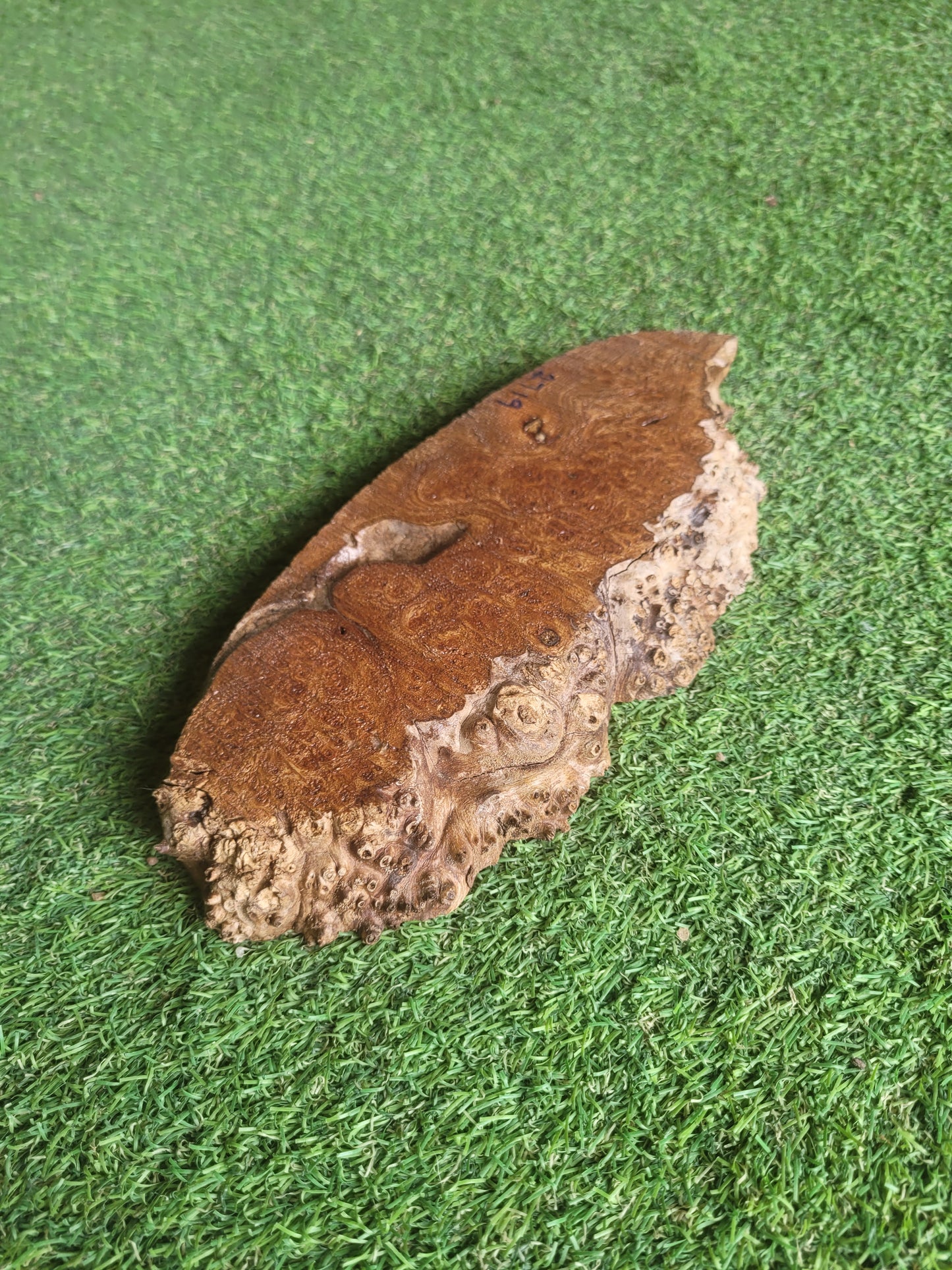 Burr Elm Woodturning Blank 25x11x2.4cm (2719)
