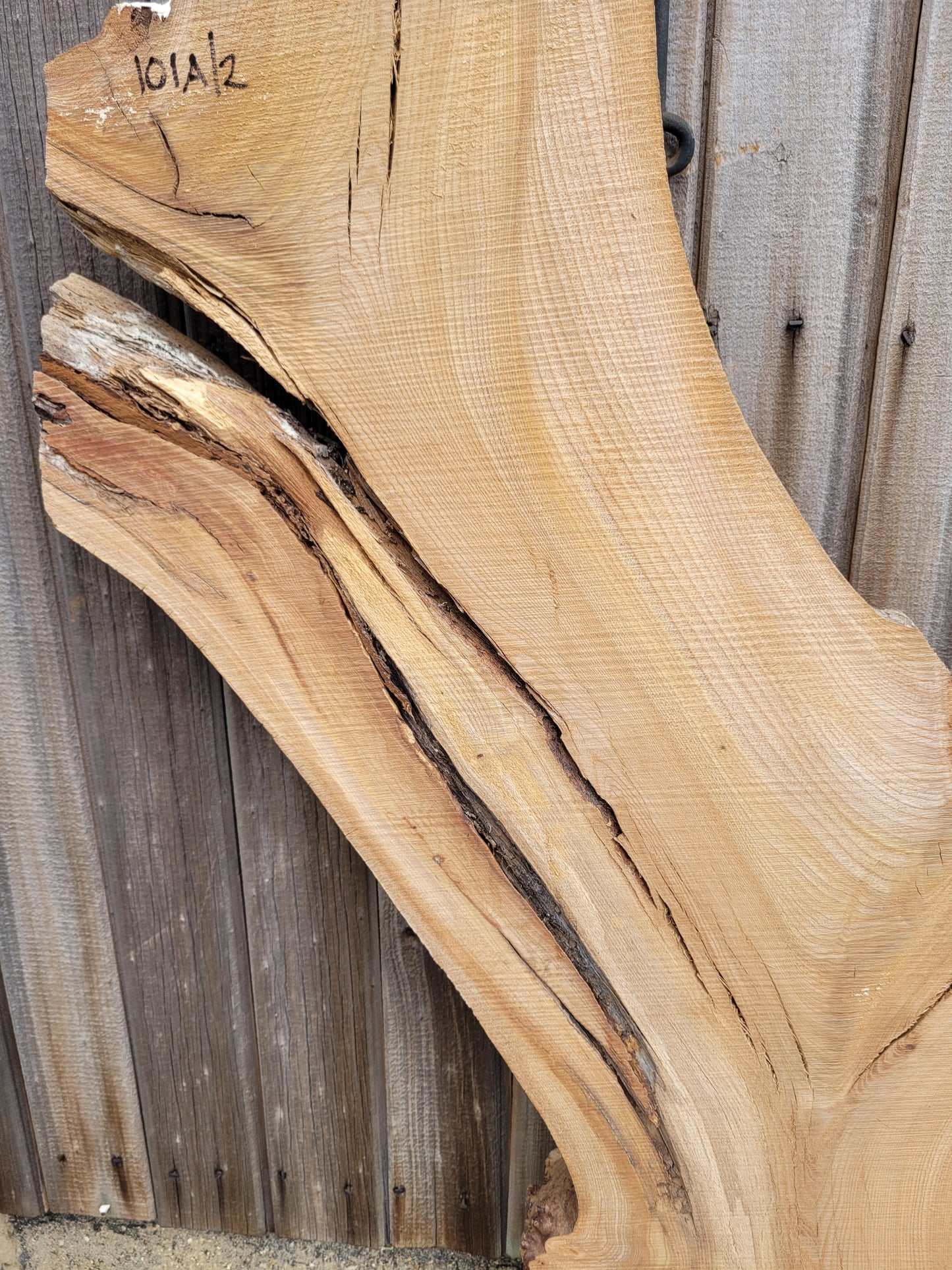 Burr Elm Live Edge Boards Rustic (101a/1-3)