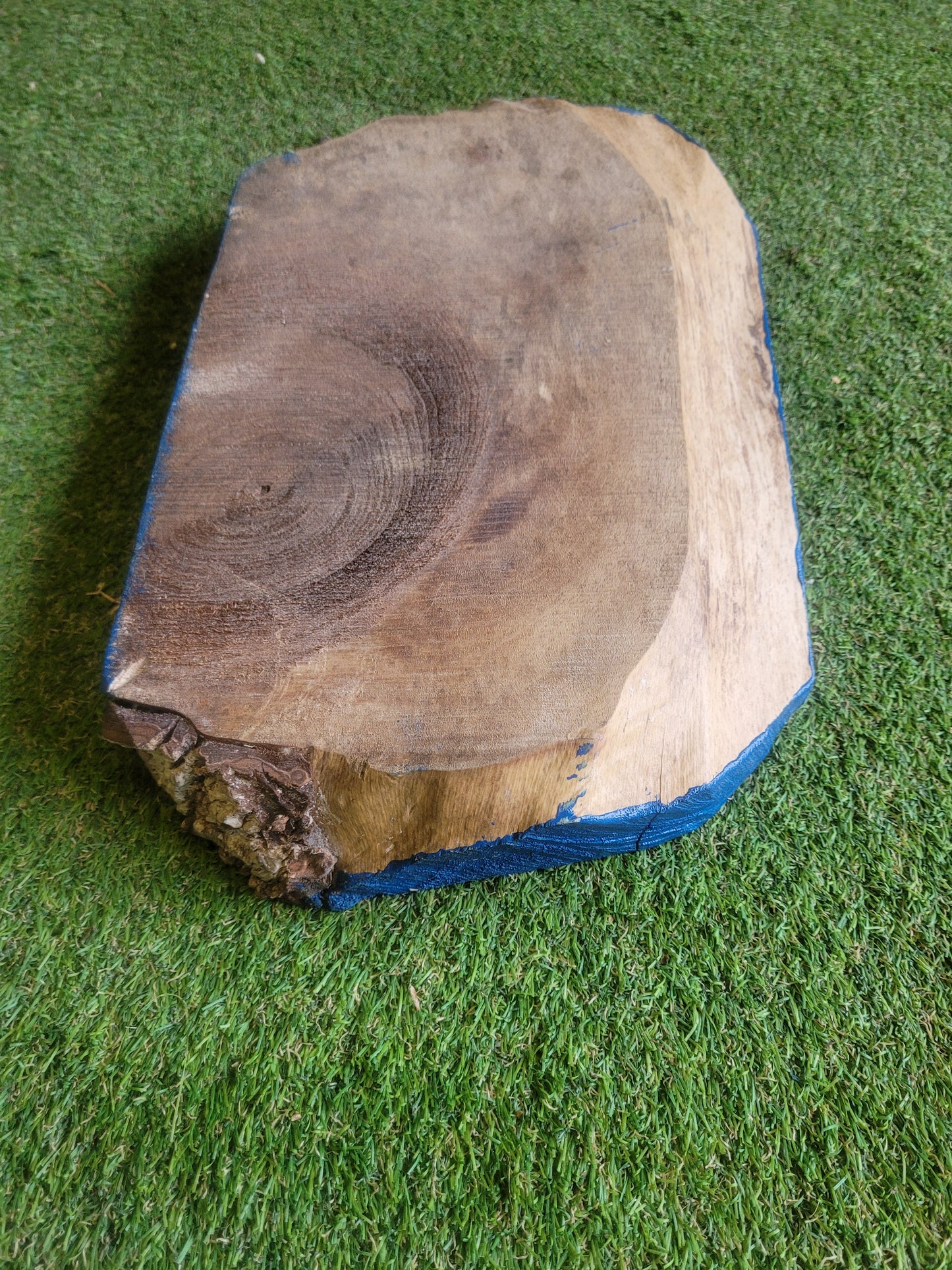 English Walnut Offcut Live Edge (2624)