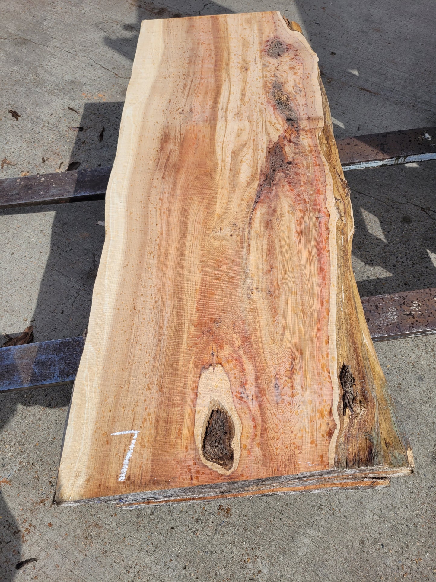 Yew Log 1.24m 8.6 ft3 (Y3)