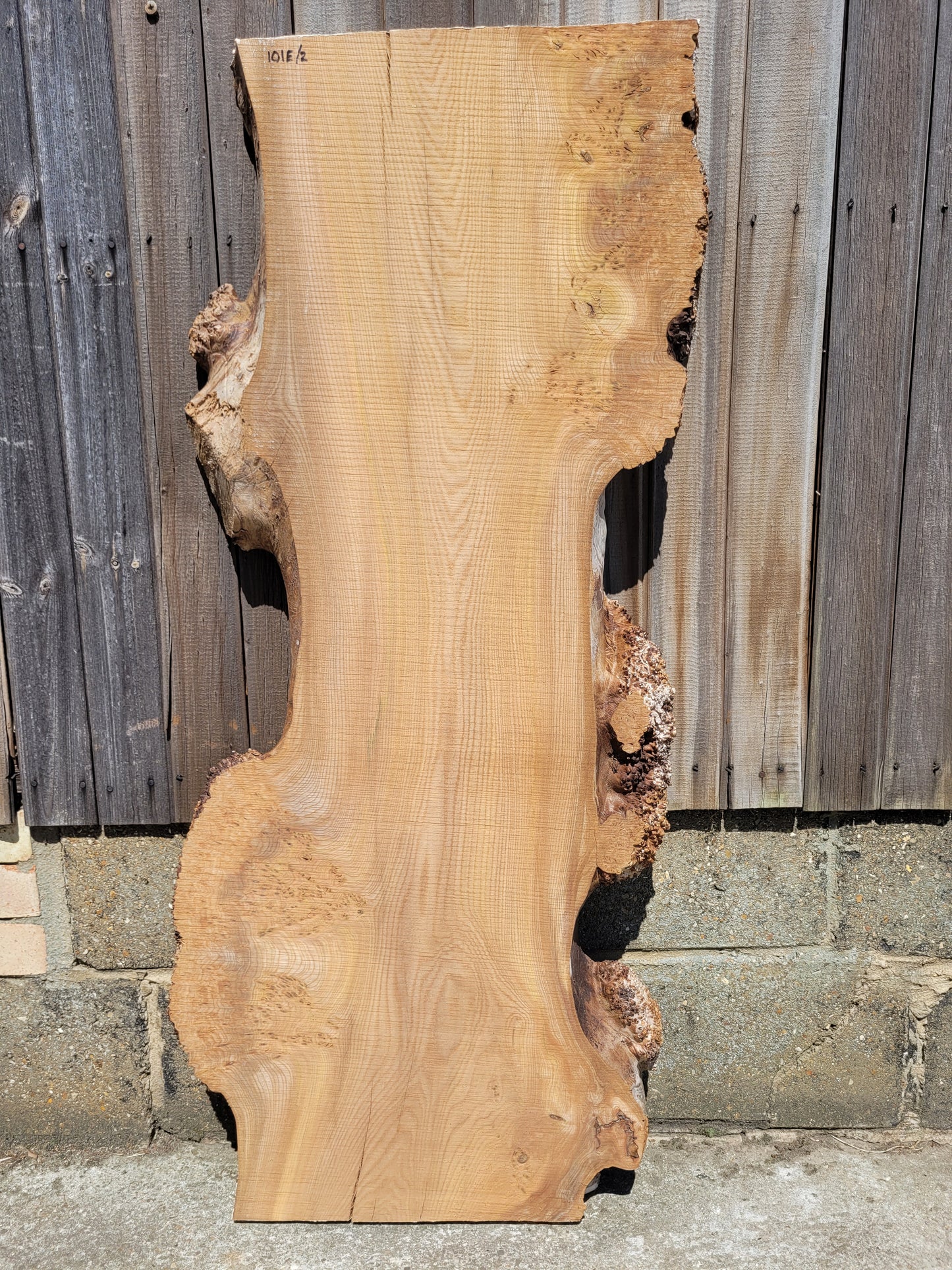 Burr Elm Live Edge Boards (101e/1&2)
