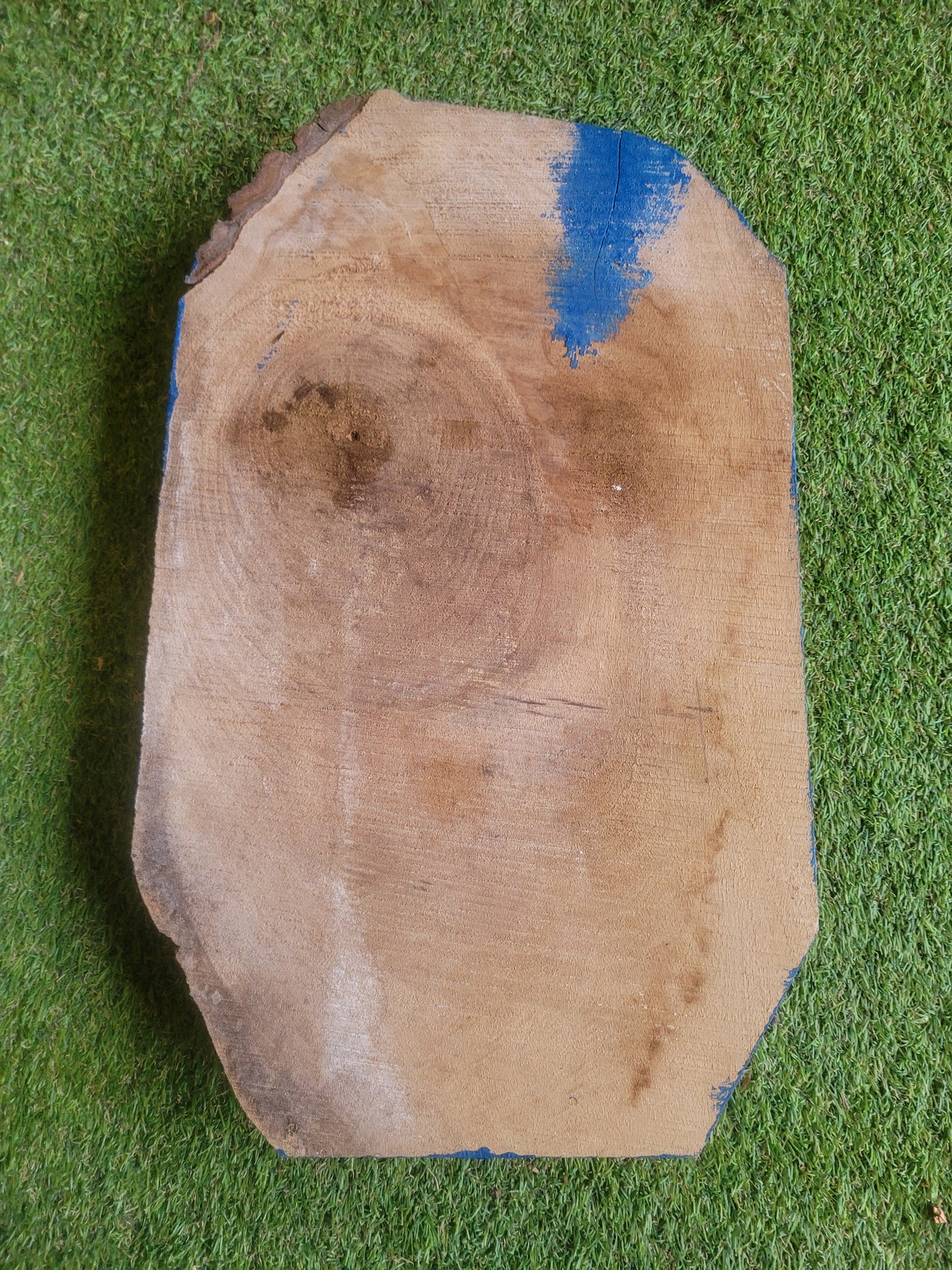English Walnut Offcut Live Edge (2624)