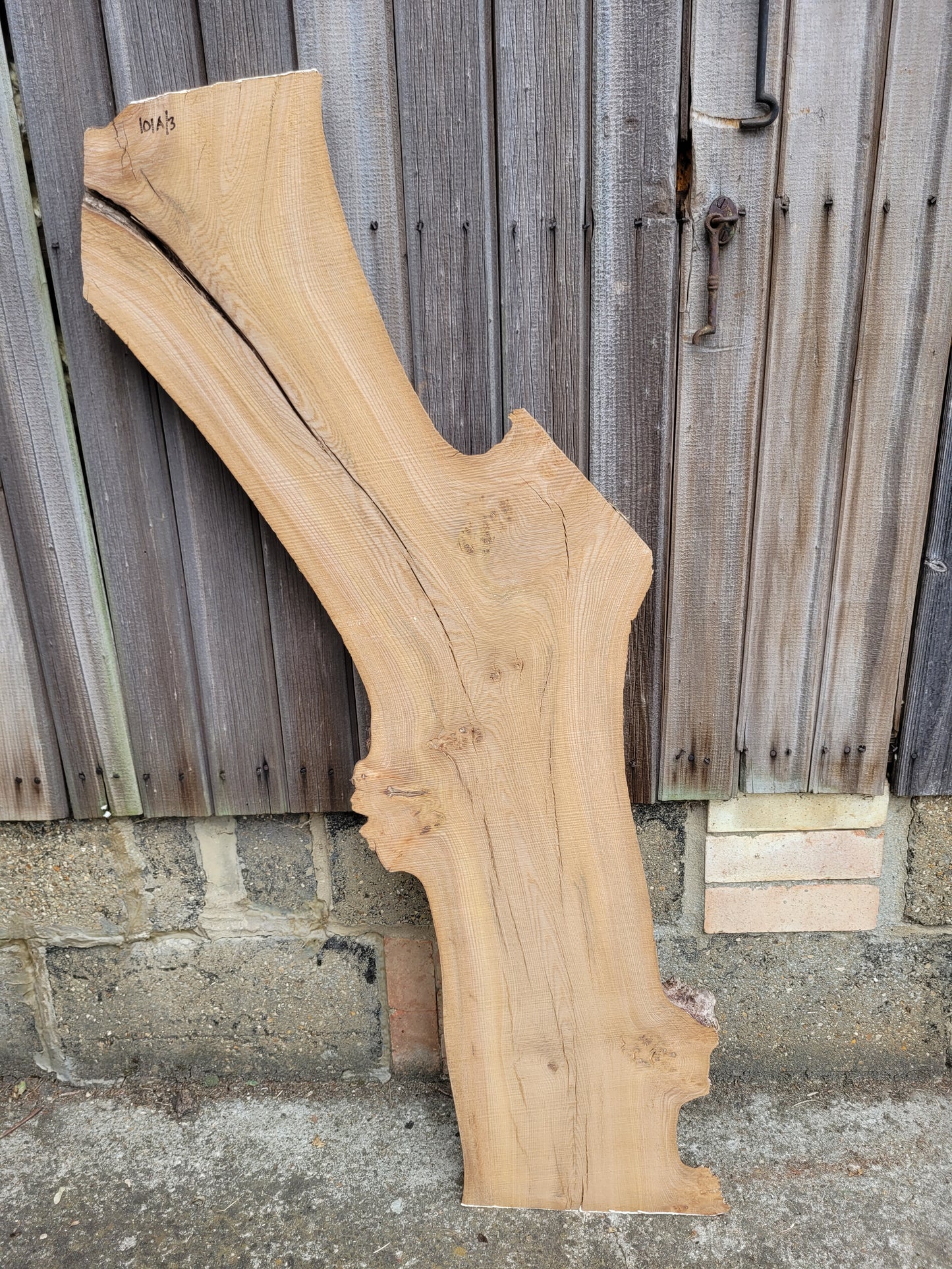 Burr Elm Live Edge Boards Rustic (101a/1-3)