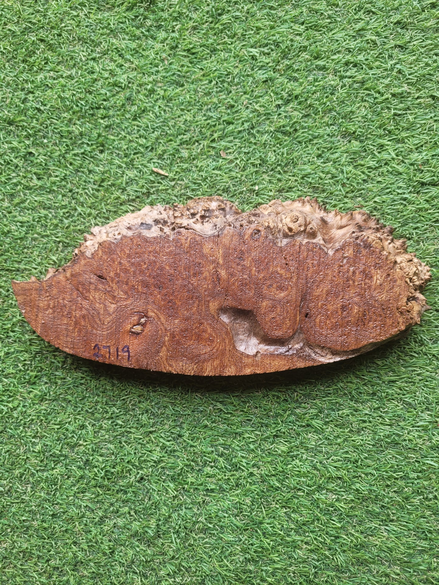 Burr Elm Woodturning Blank 25x11x2.4cm (2719)