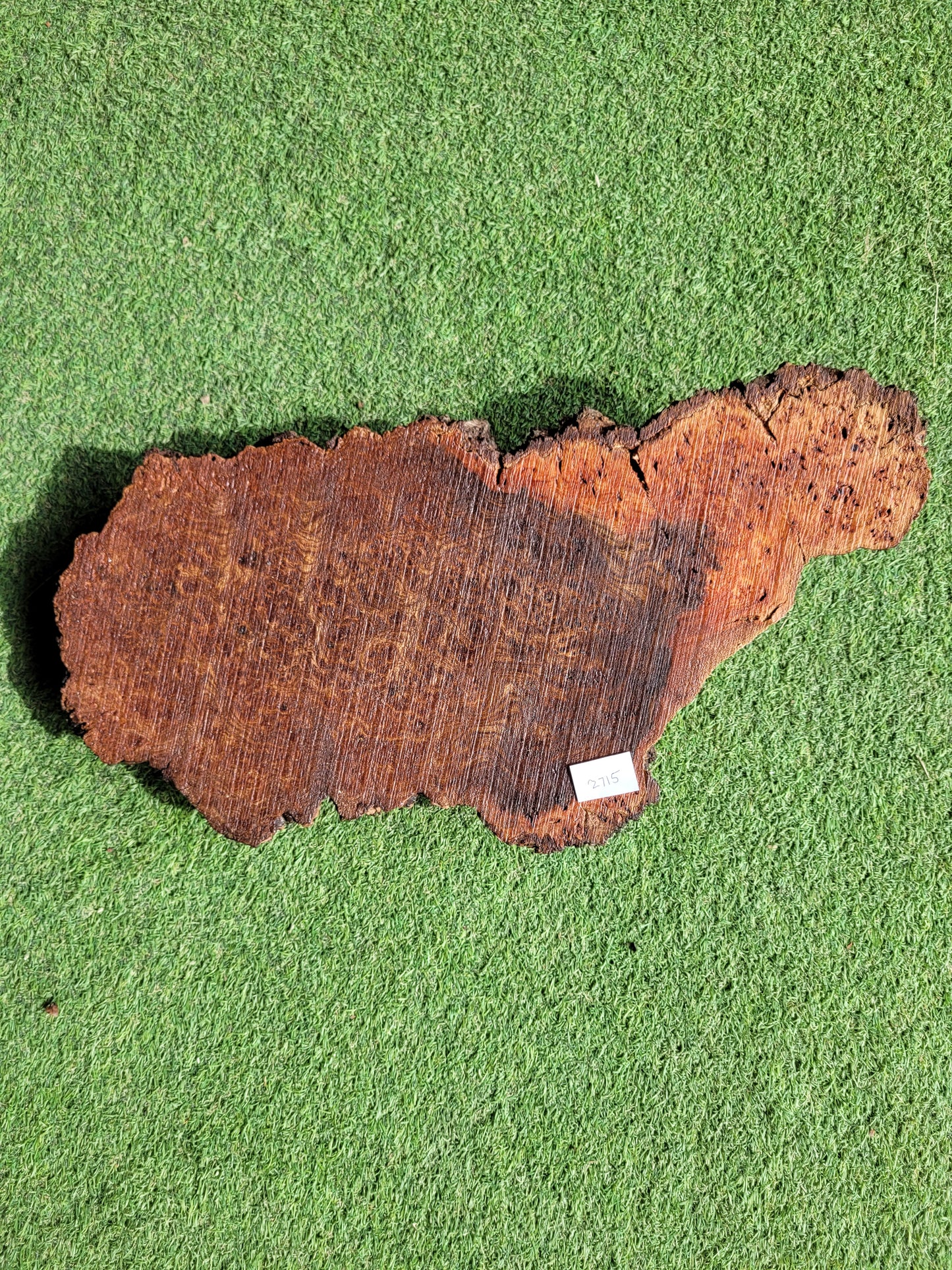 Carpathian Elm Burr Woodturning Blank (2715)