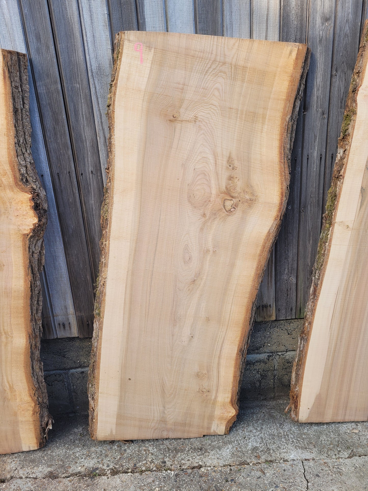 Elm Log 1.5m 22 ft3 Stunning (100)