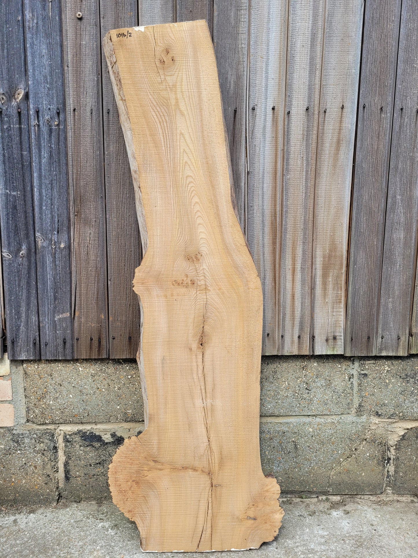 Burr Elm Live Edge Boards (101b/1&2)