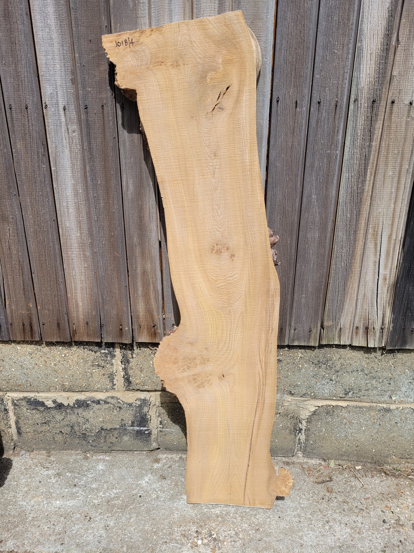 Burr Elm Live Edge Boards (101b/1-4)