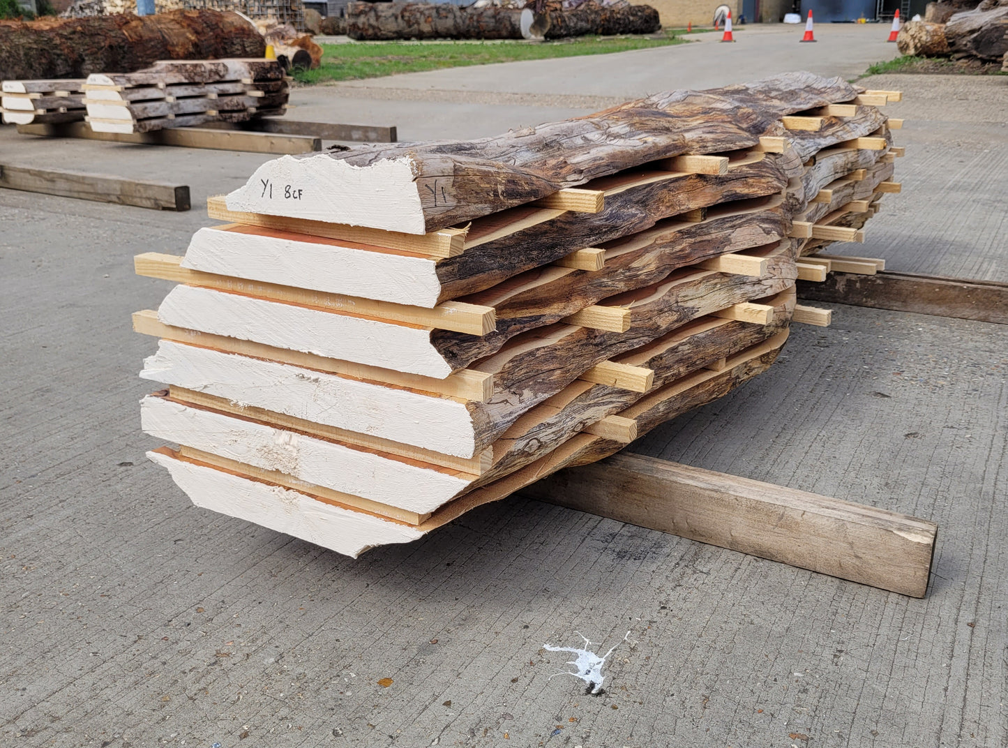 Yew Log 2.1m Long 8ft3 (Y1)